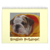Englischer Bulldoggen-Kalender! Kalender (Titelbild)