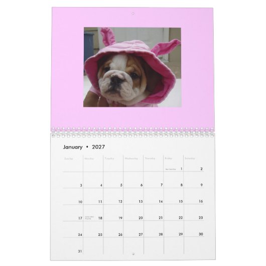 Englischer Bulldoggen-Kalender! Kalender (Jan 2027)