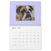 Englischer Bulldoggen-Kalender! Kalender (Feb 2027)