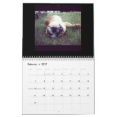 Englischer Bulldoggen-u. Welpen-Kalender! Kalender (Feb 2027)