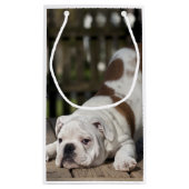 Englischer Bulldoggen-Welpe Kleine Geschenktüte (Rückseite)
