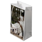 Englischer Bulldoggen-Welpe Kleine Geschenktüte (Rückseite Schrägansicht)