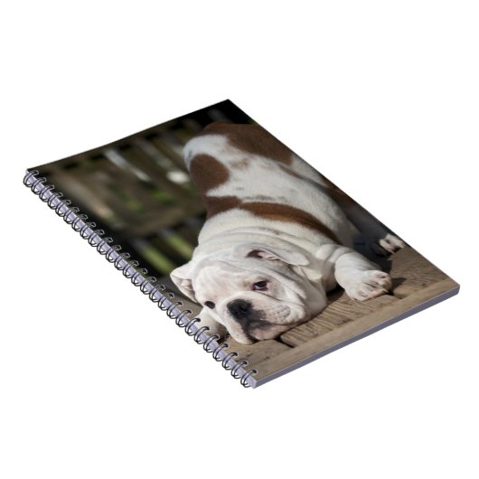 Englischer Bulldoggen-Welpe Notizblock (Rechte Seite)