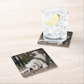 Englischer Bulldoggen-Welpe Rechteckiger Pappuntersetzer (Vor Ort)