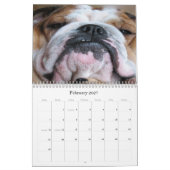 englischer Bulldoggenkalender Kalender (Feb 2027)