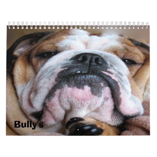 englischer Bulldoggenkalender Kalender (Titelbild)