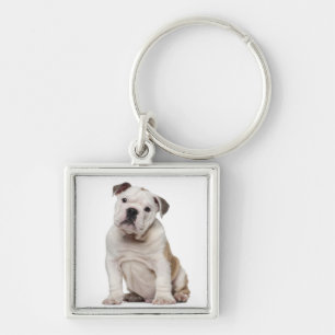 Englischer Bulldoggenwelpe (2 Monate alte) Schlüsselanhänger