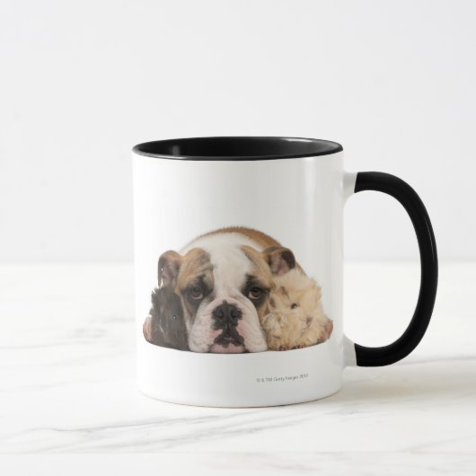 Englischer Bulldoggenwelpe (4 Monate alte) und Tasse (Rechts)