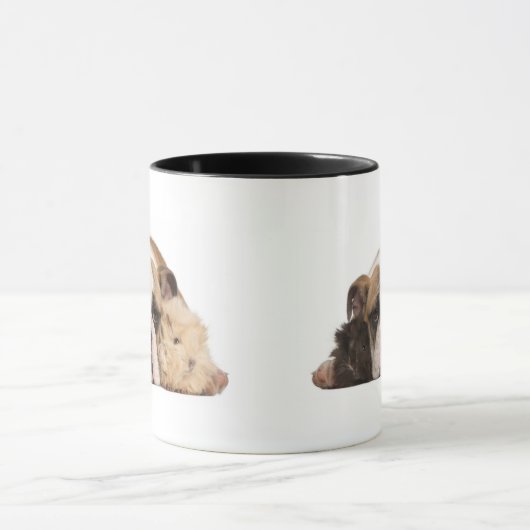 Englischer Bulldoggenwelpe (4 Monate alte) und Tasse (Zentrum)