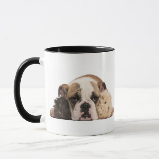 Englischer Bulldoggenwelpe (4 Monate alte) und Tasse (Links)