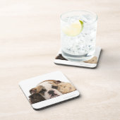 Englischer Bulldoggenwelpe (4 Monate alte) und Untersetzer (Rechte Seite)