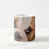Englischer Bulldoggenwelpe Kaffeetasse (Mittel)