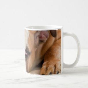 Englischer Bulldoggenwelpe Kaffeetasse