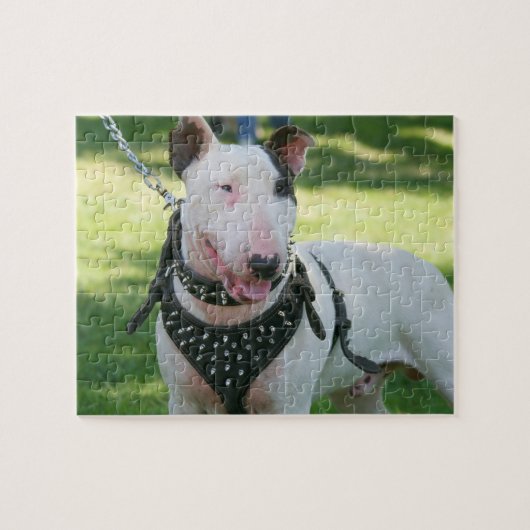Englischer Bullterrier Puzzle (Horizontal)