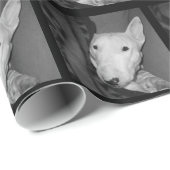 Englischer Bullterrier Snuggled unter einer Decke Geschenkpapier (Rolleneckpunkt)