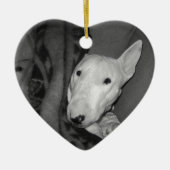 Englischer Bullterrier Snuggled unter einer Decke Keramikornament (Vorne)