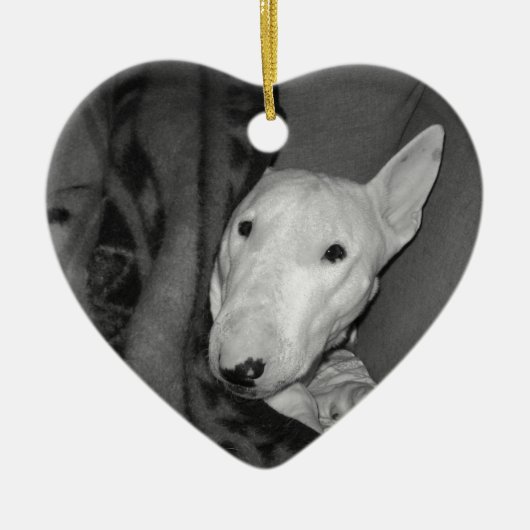 Englischer Bullterrier Snuggled unter einer Decke Keramikornament (Vorne)