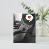 englischer Bullterrier-Valentinsgruß Feiertagspostkarte (Stehend Vorderseite)