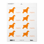 Englischer Cocker Spaniel (Vorne)