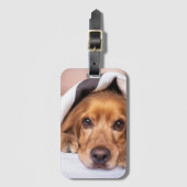 Englischer Cocker spaniel, Hund, Welpe Gepäckanhänger (Vorderseite Vertikal)