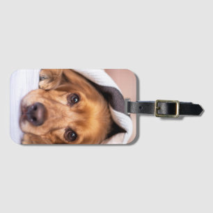 Englischer Cocker spaniel, Hund, Welpe Gepäckanhänger