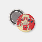 Englischer Cocker spaniel, Hund, Welpe Magnet (Vorderseite/Rückseite)
