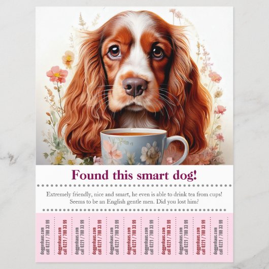 Englischer Cocker Spaniel weggeflogen - Flyer (Vorne)