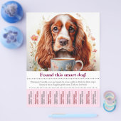 Englischer Cocker Spaniel weggeflogen - Flyer (Einzeln)
