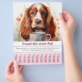 Englischer Cocker Spaniel weggeflogen - Flyer (Hand)