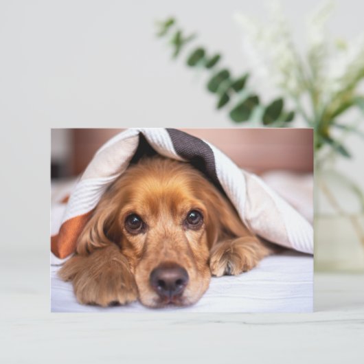 Englischer Cocker Spanier Hund Dankeskarte (Stehend Vorderseite)