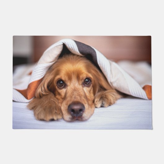 Englischer Cocker Spanier Hund Fußmatte (Vorderseite)