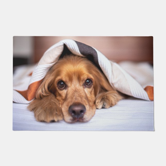 Englischer Cocker Spanier Hund Fußmatte (Vorderseite)