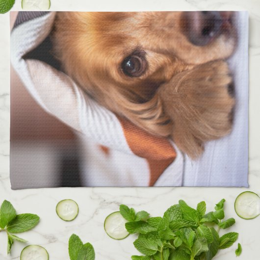 Englischer Cocker Spanier Hund Geschirrtuch (Gefaltet)