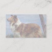 Englischer Collie Visitenkarte (Rückseite)