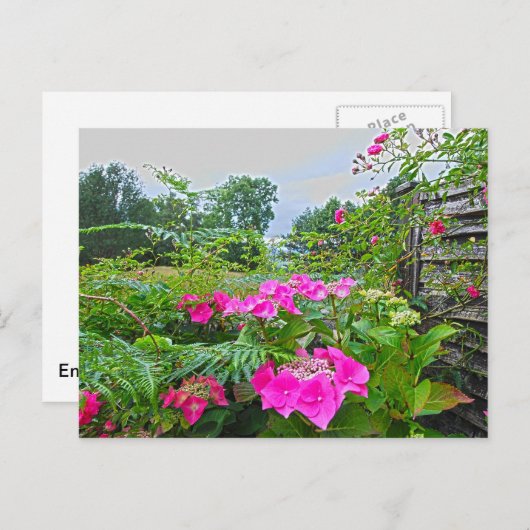 Englischer Garten 2 Postkarte (Vorne/Hinten)