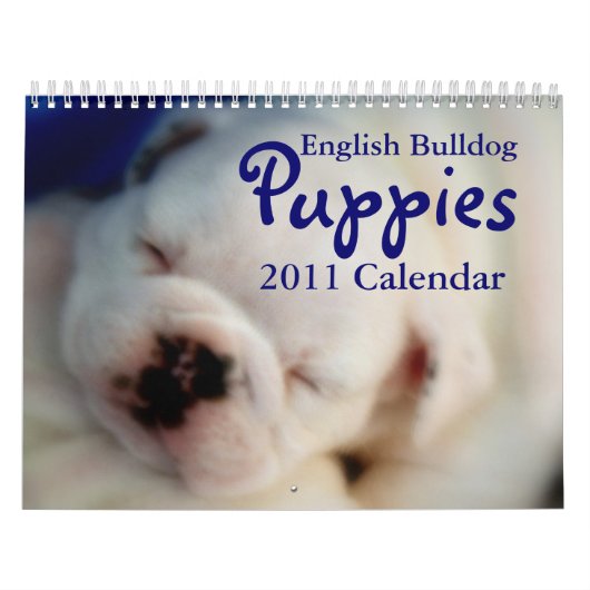 Englischer Kalender der Bulldoggen-Welpen-2011 (Titelbild)