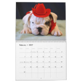 Englischer Kalender der Bulldoggen-Welpen-2012 (Feb 2027)