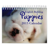 Englischer Kalender der Bulldoggen-Welpen-2015 (Titelbild)