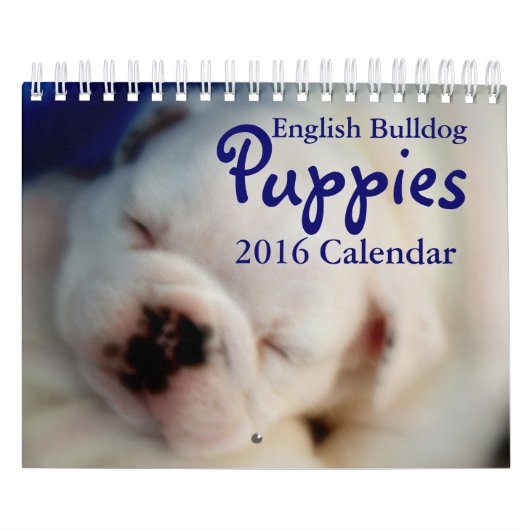 Englischer Kalender der Bulldoggen-Welpen-2016 (Titelbild)