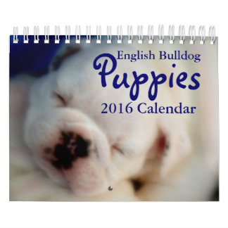 Englischer Kalender der Bulldoggen-Welpen-2016