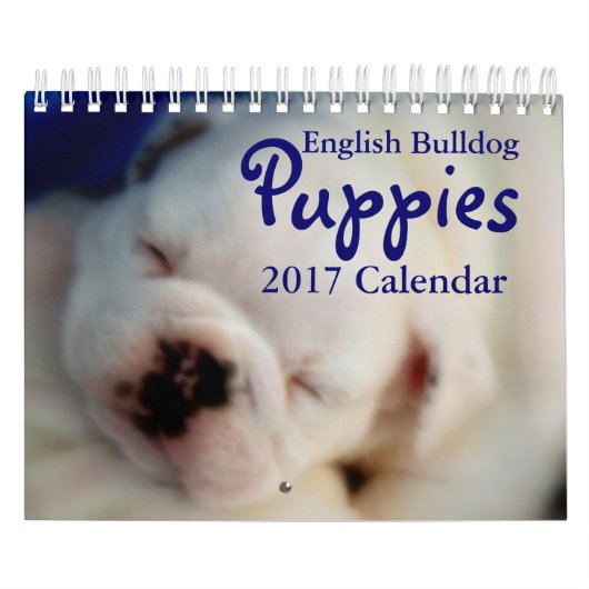 Englischer Kalender der Bulldoggen-Welpen-2017 (Titelbild)