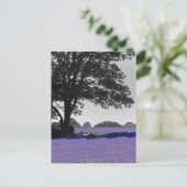 Englischer Lavendel Postkarte (Stehend Vorderseite)