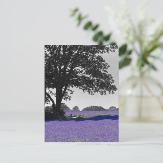 Englischer Lavendel Postkarte (Stehend Vorderseite)