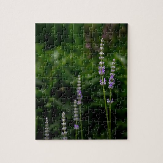 Englischer Lavendel Puzzle (Vertikal)