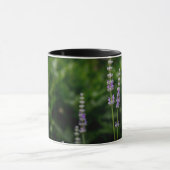 Englischer Lavendel Tasse (Zentrum)