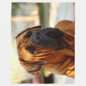 ENGLISCHER MASTIFF FLEECEDECKE (Vorderseite)