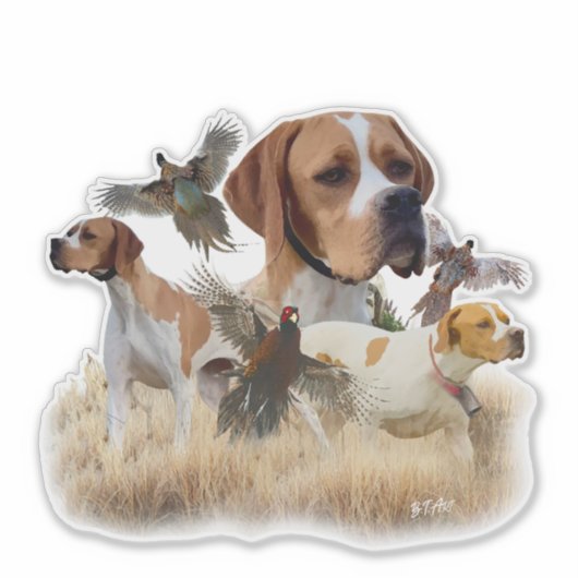 Englischer Pointer Aufkleber (Vorderseite)