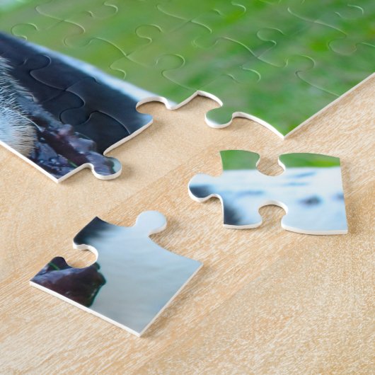 Englischer Pointer Dog. Puzzle (Seite)