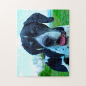 Englischer Pointer Dog. Puzzle (Vertikal)