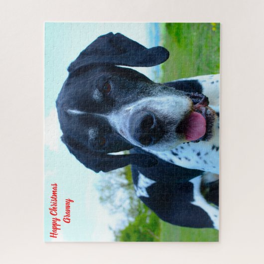Englischer Pointer Dog. Puzzle (Vertikal)